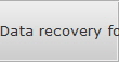 Data recovery for Helena data